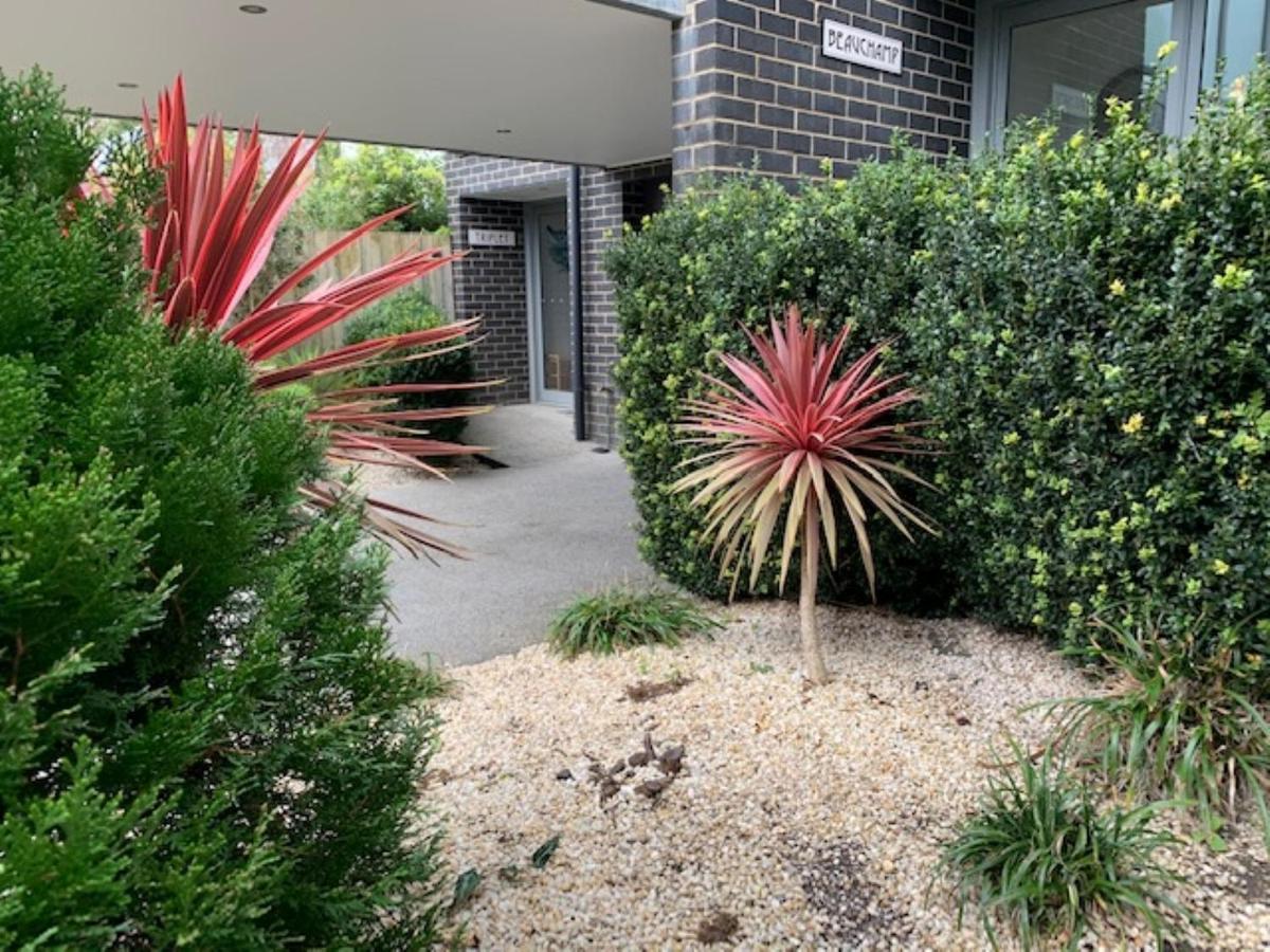 7 Falls Apartments Apollo Bay Buitenkant foto